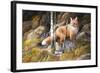 Brief Glimpse Through Cover-Trevor V. Swanson-Framed Giclee Print