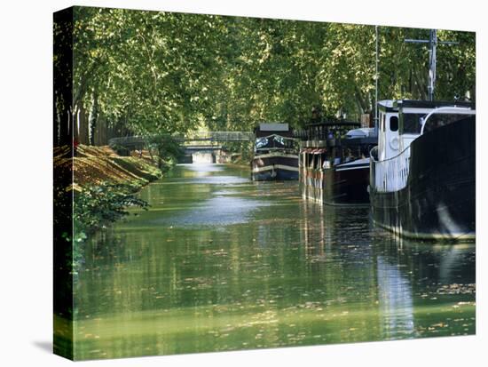 Brienne Canal, Toulouse, Haute-Garonne, Midi-Pyrenees, France, Europe-null-Stretched Canvas