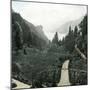 Brienz (Switzerland), the Lake, Circa 1865-Leon, Levy et Fils-Mounted Photographic Print