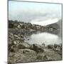 Brienz (Switzerland), View of the Lake-Leon, Levy et Fils-Mounted Photographic Print