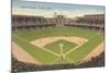 Briggs Stadium, Detroit, Michigan-null-Mounted Art Print