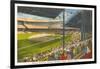 Briggs Stadium, Detroit, Michigan-null-Framed Art Print