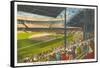 Briggs Stadium, Detroit, Michigan-null-Framed Stretched Canvas