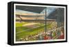 Briggs Stadium, Detroit, Michigan-null-Framed Stretched Canvas
