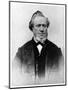 Brigham Young, American Mormon Leader, 19th Century-null-Mounted Giclee Print