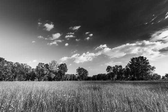 Photo, , large