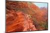 Bright Angel Trail Grand Canyon-Wirepec-Mounted Photographic Print