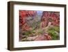 Bright Angel Trail Grand Canyon-Wirepec-Framed Photographic Print