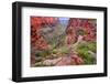 Bright Angel Trail Grand Canyon-Wirepec-Framed Photographic Print