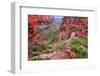 Bright Angel Trail Grand Canyon-Wirepec-Framed Photographic Print