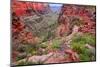 Bright Angel Trail Grand Canyon-Wirepec-Mounted Photographic Print