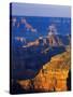 Bright Angel Trail-Danny Lehman-Stretched Canvas