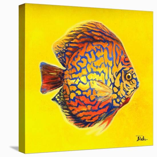 Bright Aquatic Life I-Patricia Pinto-Stretched Canvas