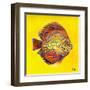 Bright Aquatic Life I-Patricia Pinto-Framed Art Print