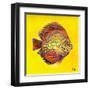 Bright Aquatic Life I-Patricia Pinto-Framed Art Print