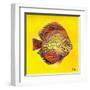 Bright Aquatic Life I-Patricia Pinto-Framed Art Print