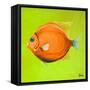 Bright Aquatic Life II-Patricia Pinto-Framed Stretched Canvas