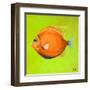 Bright Aquatic Life II-Patricia Pinto-Framed Art Print