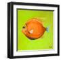 Bright Aquatic Life II-Patricia Pinto-Framed Art Print