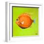 Bright Aquatic Life II-Patricia Pinto-Framed Art Print