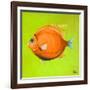 Bright Aquatic Life II-Patricia Pinto-Framed Art Print