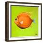 Bright Aquatic Life II-Patricia Pinto-Framed Art Print