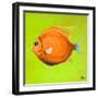 Bright Aquatic Life II-Patricia Pinto-Framed Art Print