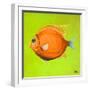 Bright Aquatic Life II-Patricia Pinto-Framed Art Print