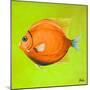 Bright Aquatic Life II-Patricia Pinto-Mounted Art Print