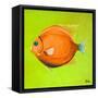 Bright Aquatic Life II-Patricia Pinto-Framed Stretched Canvas