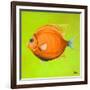 Bright Aquatic Life II-Patricia Pinto-Framed Art Print