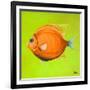 Bright Aquatic Life II-Patricia Pinto-Framed Art Print