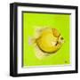 Bright Aquatic Life III-Patricia Pinto-Framed Art Print