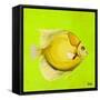 Bright Aquatic Life III-Patricia Pinto-Framed Stretched Canvas