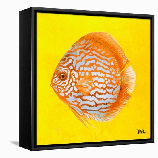 Bright Aquatic Life IV-Patricia Pinto-Framed Stretched Canvas