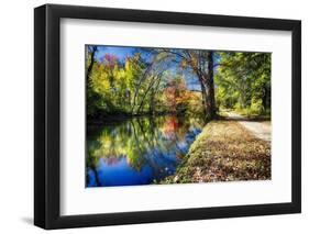 Bright Autumn Day At The Canal-George Oze-Framed Photographic Print