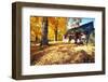 Bright Autumn Day In Jockey Hollow-George Oze-Framed Photographic Print