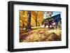 Bright Autumn Day In Jockey Hollow-George Oze-Framed Photographic Print