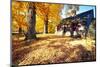 Bright Autumn Day In Jockey Hollow-George Oze-Mounted Photographic Print