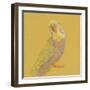 Bright Birds - Pause-Roy Woodard-Framed Giclee Print