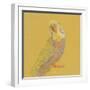 Bright Birds - Pause-Roy Woodard-Framed Giclee Print