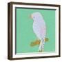 Bright Birds - Playful-Joelle Wehkamp-Framed Giclee Print