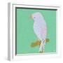 Bright Birds - Playful-Joelle Wehkamp-Framed Giclee Print