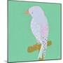 Bright Birds - Playful-Joelle Wehkamp-Mounted Giclee Print