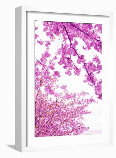 Bright Blooms I-Karyn Millet-Framed Photographic Print