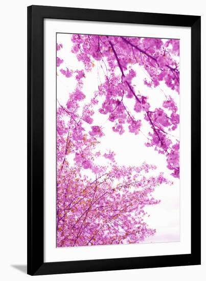 Bright Blooms I-Karyn Millet-Framed Photographic Print