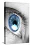 Bright Blue Eye Closeup-SSilver-Stretched Canvas