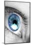 Bright Blue Eye Closeup-SSilver-Mounted Photographic Print