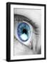 Bright Blue Eye Closeup-SSilver-Framed Photographic Print