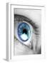 Bright Blue Eye Closeup-SSilver-Framed Photographic Print